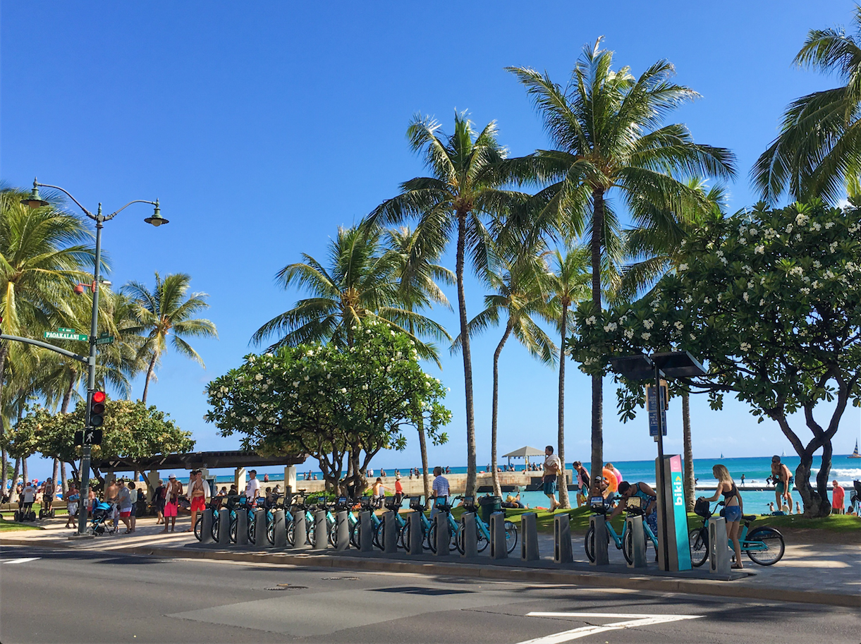 Biki Waikiki.png